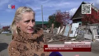 АГРЕССИВНЫЕ СОБАКИ В ЛЕСОСИБИРСКЕ