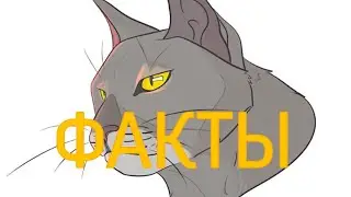Факты о Ястребке|«Коты-Воители»