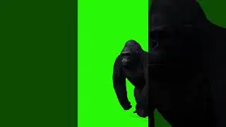 king kong greenscreen #boombastic #boombasticsound