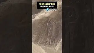 Тайна загадочных рисунков Наска