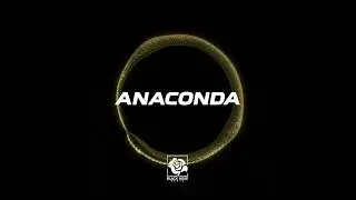dancehall type beat x Anaconda x reggaeton beat x freestyle free hard rap beat instrumental