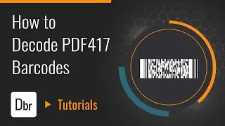 How to Decode PDF417 Barcodes | Dynamsoft Tutorials