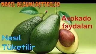 Amazing Benefits of Avocado