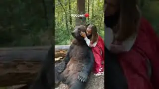 Маша и медведь - к победе! 🇷🇺 🇷🇸 💤