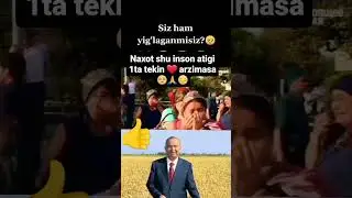 ШУ ИНСОН БИТТА ЛАЙККА АРЗИМАЙДИМИ
