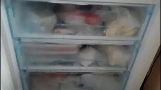 Освобождаю морозильник  Что в нем?