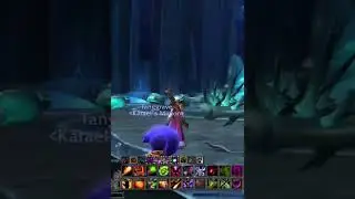 Kurukuru Meme But It's A World of Warcraft Bug 