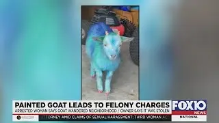 Woman steals goat paints it and is now facing felony charges
