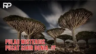 A Mysterious and Unique Island, Supposedly a Center of Ancient Magic!? | Socotra Island