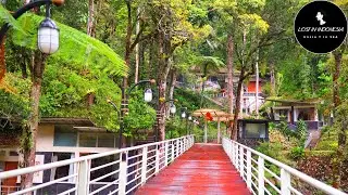Lake Toba trip EP1--The Taman Simalem Resort
