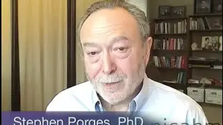 Polyvagal Theory and How Trauma Impacts the Body