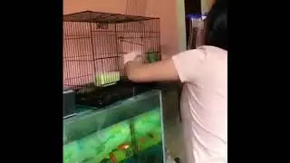 tante presti hastuti tembem bikin gagal fokus #1