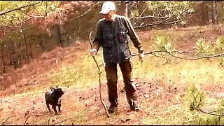 Лес, Осень и мы с Жориком