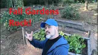 Rockin' Our Fall Gardens, Week 41