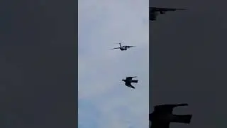 KC-390 | FORÇA AÉREA PORTUGUESA 💪 #airport #lisboa #shorts