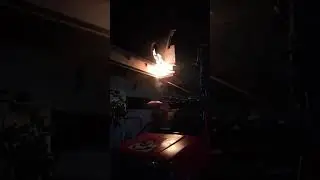 damkar bersihkan sarang tawon vespa di perum purimas tulungagung