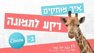 איך מוחקים רקע לתמונה ב-Canva בקלות 🙋 (2021)