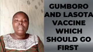 GUMBORO AND LASOTA VACCINE WHICH SHOULD GO FIRST