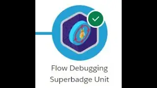 Flow Debugging Superbadge Unit
