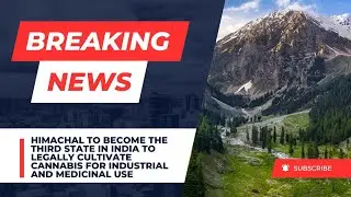 Himachal to become the third state in India to legally cultivate cannabis#himachal #hp