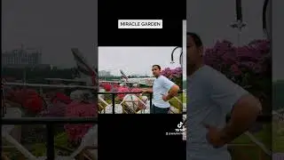 Dubai miracle garden