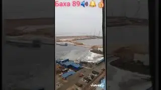 17 марта 2020 г.