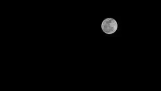 Moon Timelapse