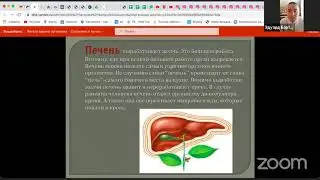 Эксперт ланч "Печень - фильтр нашего организма"
