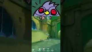 Testing Bronze CS:GO player in Immortal lobby 🤔