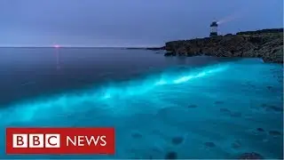 Plâncton bioluminescente cria espetáculo de luz no mar
