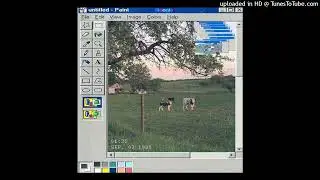free lieu + twikipedia + osquinn hyperpop type beat - coin