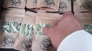 Zeytin yaprağı çayı yapılışı