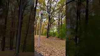 Осень очен прекрасный 🌻🌕🏵️