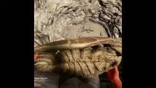 First Time Trying The Turtle Slide