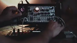 OXI Instruments Coral, Korg SQ-64 and Teenage Engineering TX-6