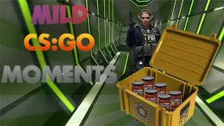 Mild CS:GO Moments
