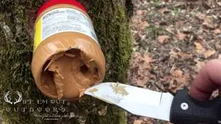 How to Attract Deer Fast