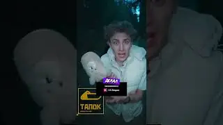 Мистер Бист РАЗБИЛ ЛАМБУ🤯  