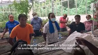 Convertir los residuos en riqueza: Impulsando la economía circular del Caribe
