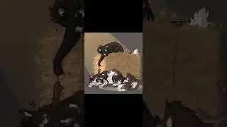 Это видео я взяла со СВОЕГО лайка 