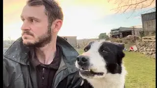 Cute And Funny Animals Compilation