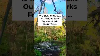 FLORIDA IS RUINING OUR STATE PARKS! 🤬😤 #florida #statepark #floridasprings #floridastateparks
