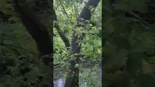 Авылда в деревне