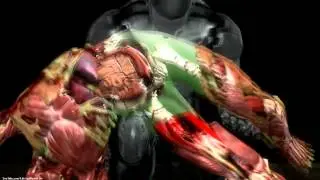 Mortal Kombat 9 Komplete Edition - All X-Rays on Skully 