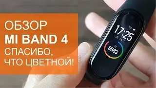Обзор Xiaomi Mi Band 4. Спасибо, что цветной.
