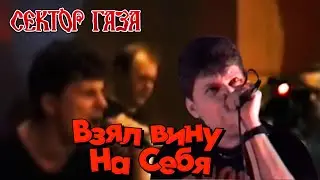 Сектор Газа - Взял вину на себя ..