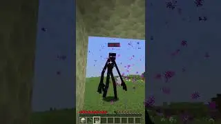 enderman age 1 vs pro enderman age 99 in Minecraft 