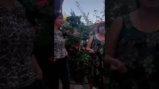 Камелия Судак Отзывы .Осень 2021