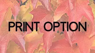 How to add a Printing Option to a Wordpress Website