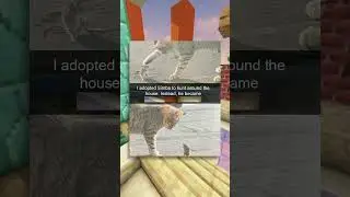 Cutest Animal Memes!